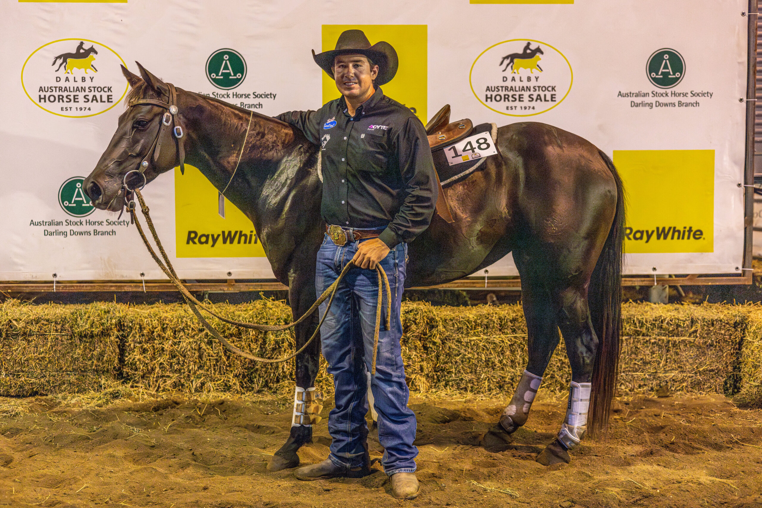 rsz_westlake_corina_lot_148_top_priced_mare